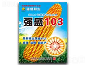 ǿʢ103-��������-ǿʢ��ҵ