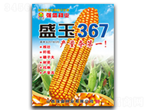 ʢ��367-��������-ǿʢ��ҵ