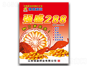 ǿʢ288-��������-ǿʢ��ҵ