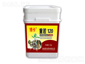 �ز�120-����
