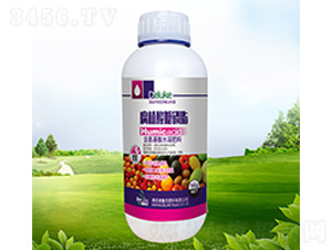��ֲ������֬-��³��