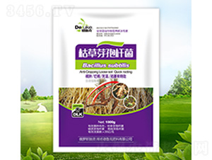 1000g�ݲ�ѿ�߸˾�-��³��