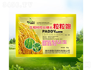 ������Ȩ׳�볤������-��³��