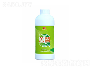 1kg�Ǉ�-����