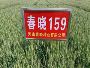 ����159-С������-������ҵ