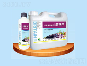 ����ר��12Ԫ�������-������ҵ
