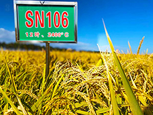 SN106-ˮ������-������ҵ