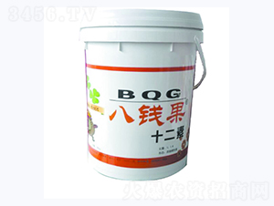 ��Ǯ��ʮ����-��������