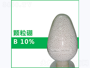 10%������-����Ƽ�
