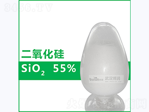 55%�ۼ���������-����Ƽ�