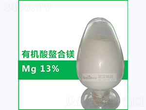13%�л�������þ-����Ƽ�
