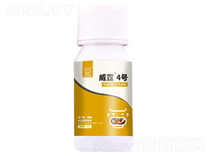 �ֳ�֬��ȡ��-����4��-��������