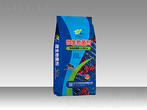 2�ھ�΢�������-��Ұũҵ