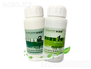 ԰�־���2��-�ֱ�ķ-˶�ַ���