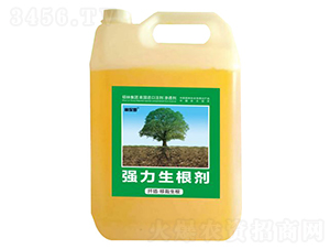 Ǥ�塤��������ǿ��������-�ֱ�ķ-˶�ַ���