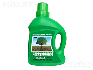 1000mlǤ�塤��������ǿ��������-�ֱ�ķ-˶�ַ���