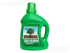 500mlǤ�塤��������ǿ��������-�ֱ�ķ-˶�ַ���