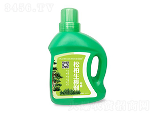 �ɰ�������-�ֱ�ķ-˶�ַ���