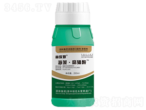 ���塤��ֳ��-�ֱ�ķ-˶�ַ���