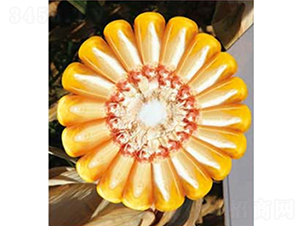 ������Q159-��������-����¡��ҵ