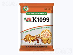 K1099-��������-����¡��ҵ