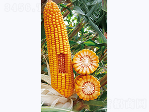 ���82-��������-������ҵ