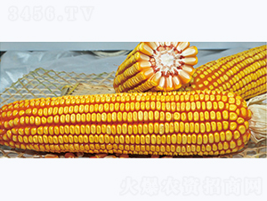 ����89-��������-������ҵ