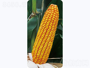 ����211-��������-������ҵ