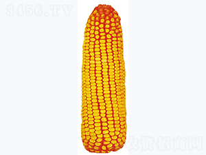 ����359-��������-������ҵ