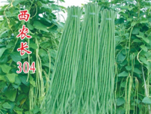 ��ũ��304-��������-�غ���ҵ