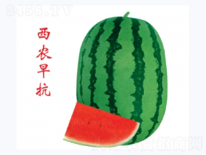 ��ũ�翹-��������-�غ���ҵ
