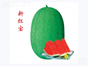 �º챦-��������-�غ���ҵ