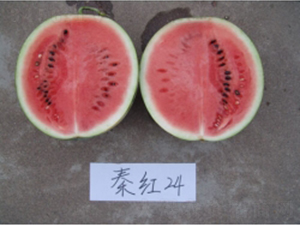�غ�24-��������-�غ���ҵ