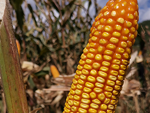 ��˶��3��-��������-������ҵ