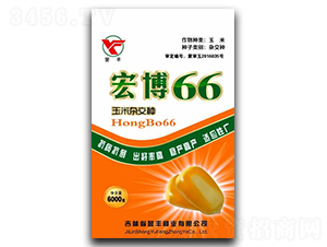 �격66-��������-������ҵ