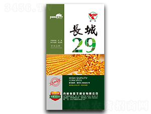 ����29-��������-������ҵ
