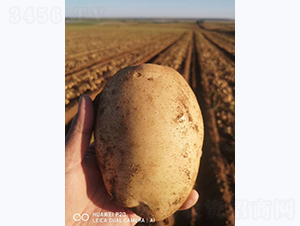 ����һ��-����������-������ҵ