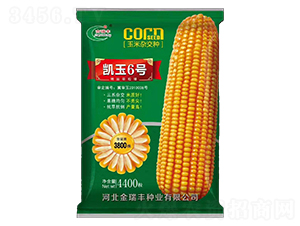 ����6�ţ��̣�-��������-�������ҵ