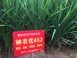 ��ũ��452-ˮ������-��һ��ҵ