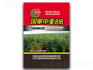 ��������816-С������-�������ҵ