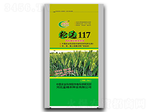 ��ѡ117-С������-�������ҵ