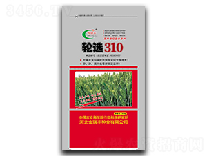 ��ѡ310��20kg��-С������-�������ҵ