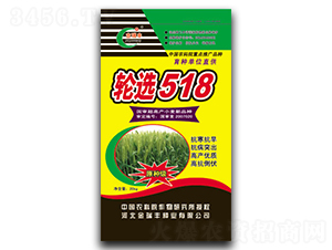 ��ѡ518��20kg��-С������-�������ҵ