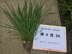 ��9��28-ˮ������-��һ��ҵ