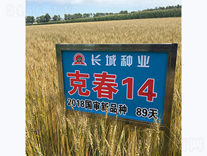�˴�14-С������-������ҵ