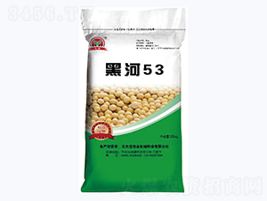 �ں�53-������-������ҵ