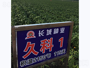 �ÿ�1��-������-������ҵ