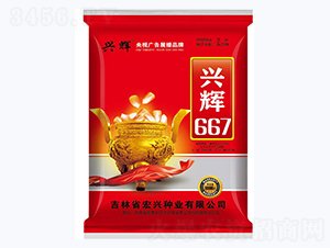 �˻�667-��������-������ҵ