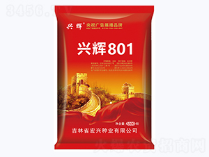 �˻�801-��������-������ҵ