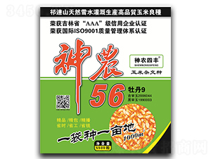 ��ũ56-��������-��ũ��ҵ